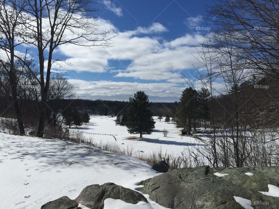 Winter golf course