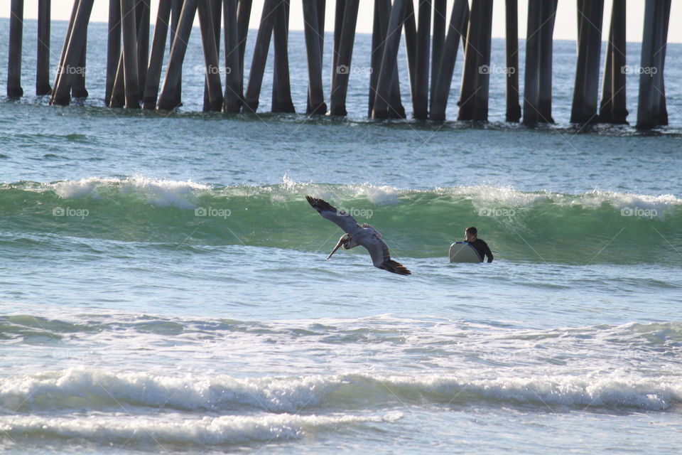 Surfer at the beach