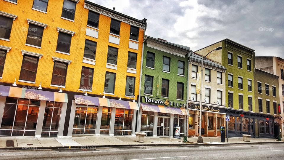 Baltimores Painted Ladies