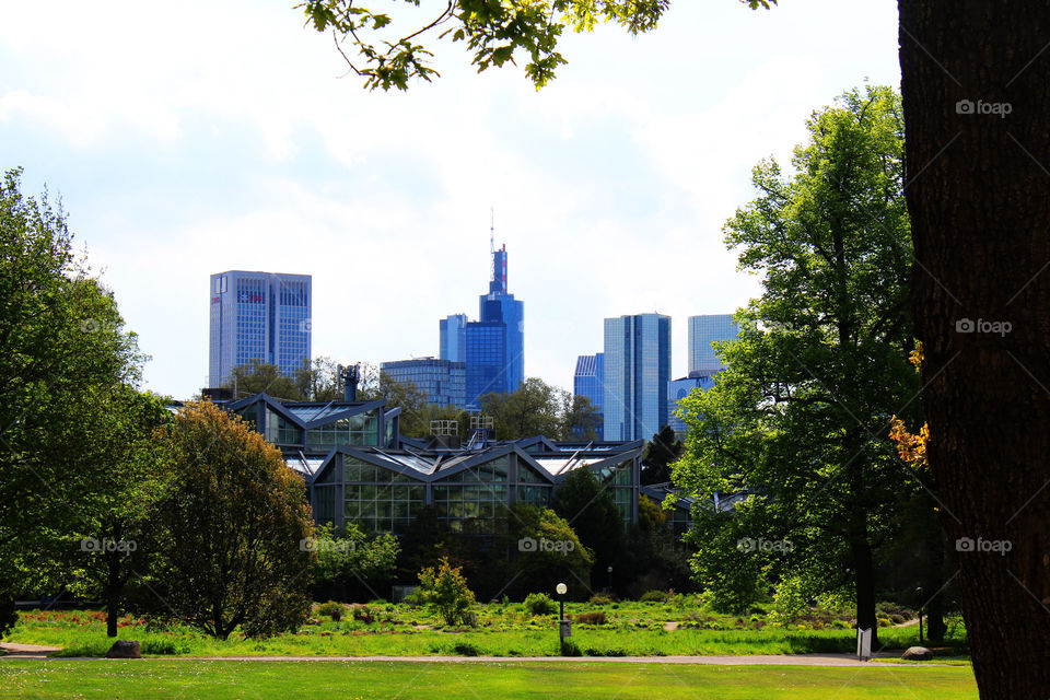 Frankfurt Stadt