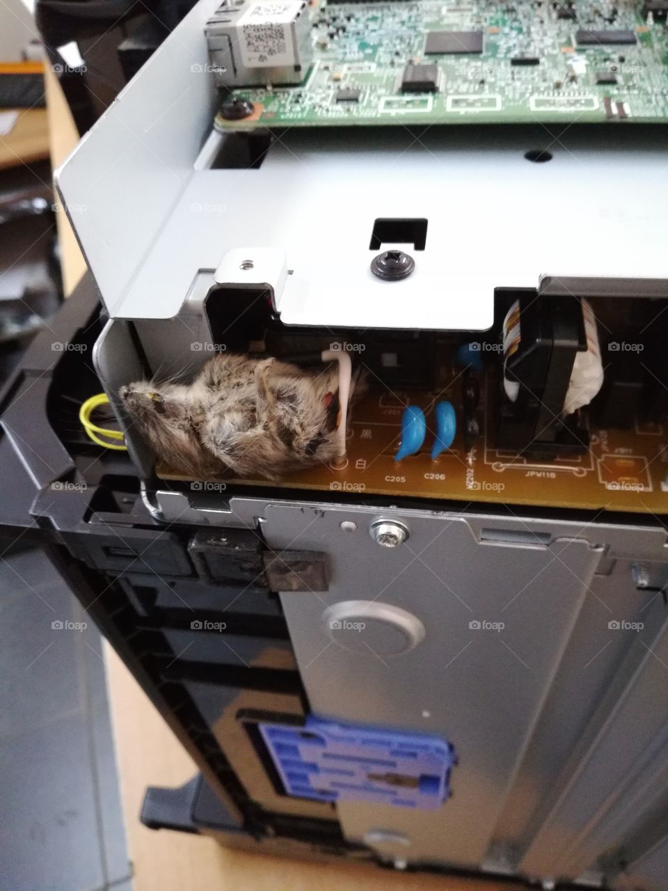 бывает что аппарат плохо работает, потому что в  нём мышь