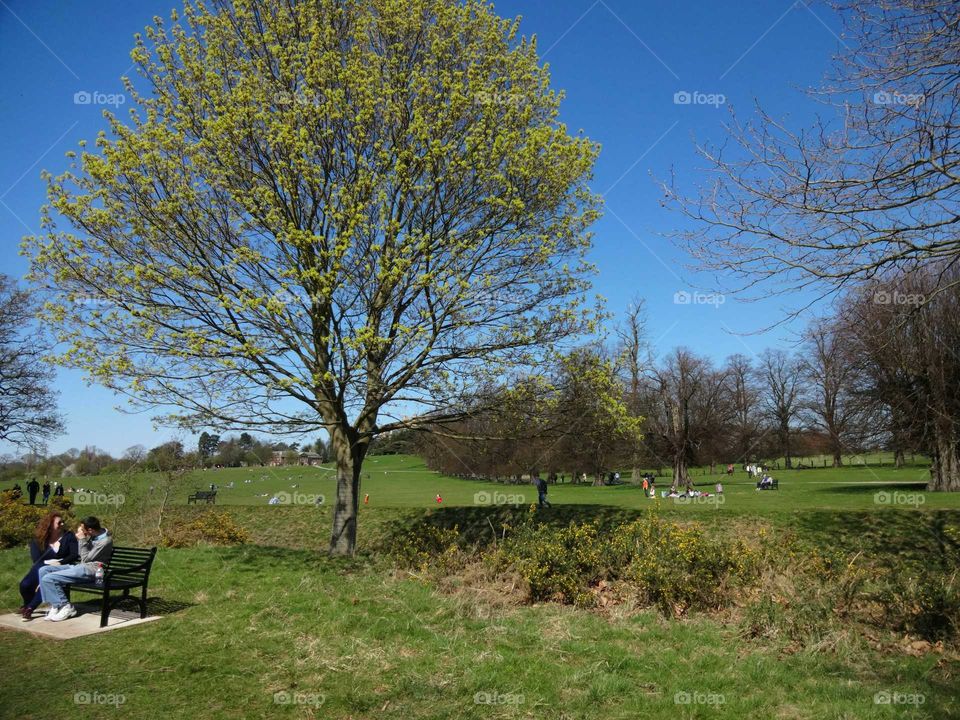 landscape of family leisure activities