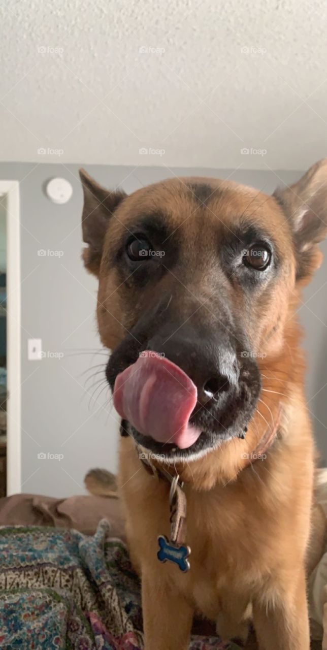 Mom get up I’m ready for breakfast 