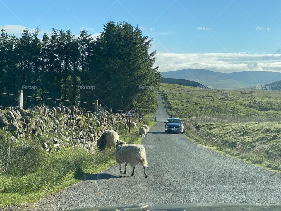 Scenic view at the Lake District 