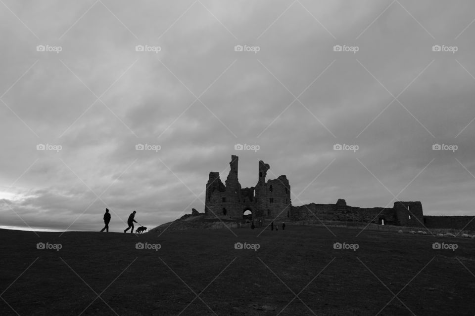 Black and White ... funny moment as our red setter dog was chasing sheep up the hill with a castle ruin in the background .. love their silhouette 