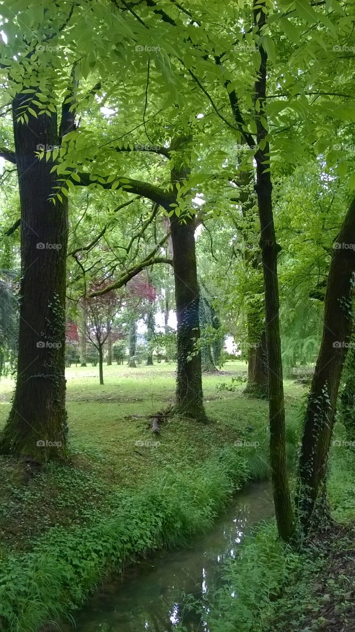 park in Vicenza - Italy