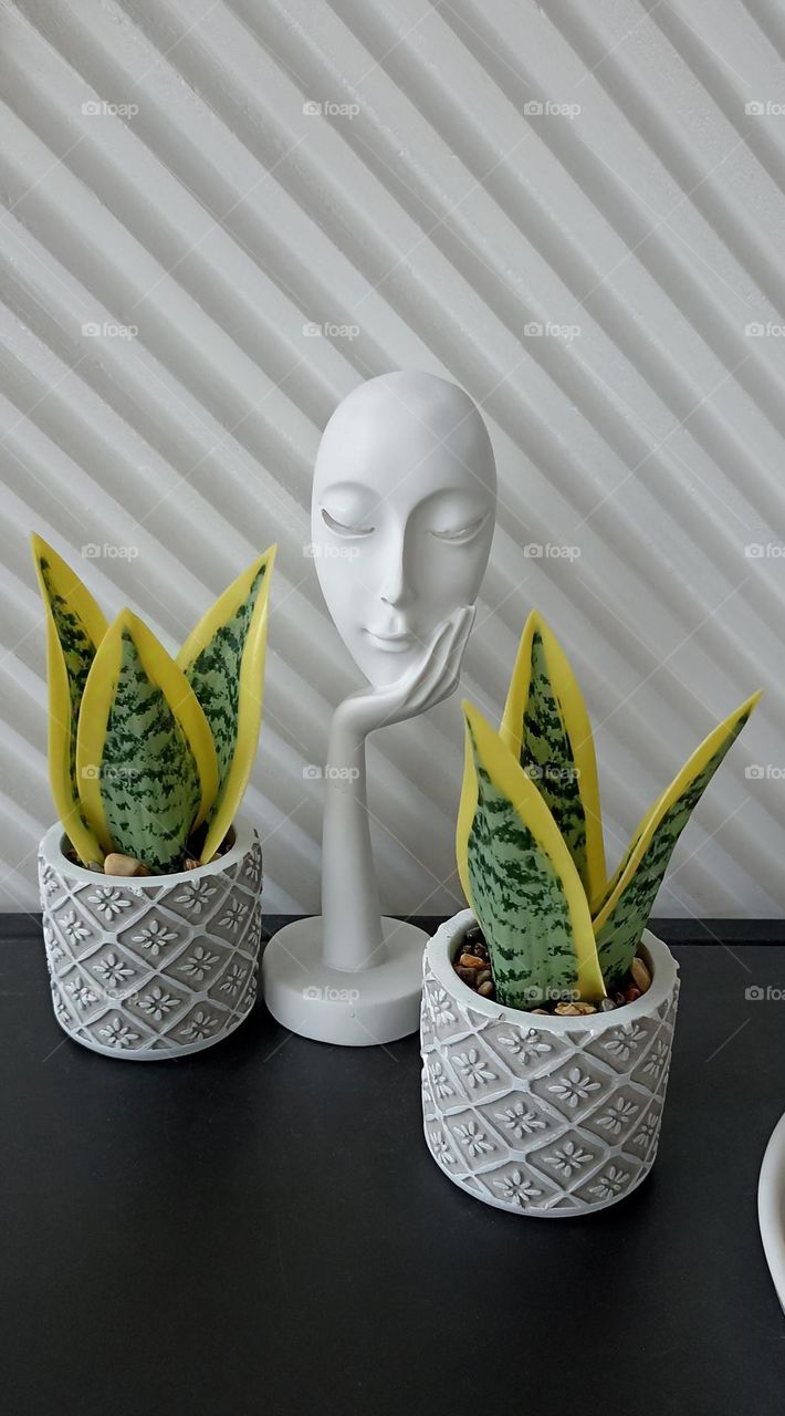 home objects house plants in pots and statue, lifestyle