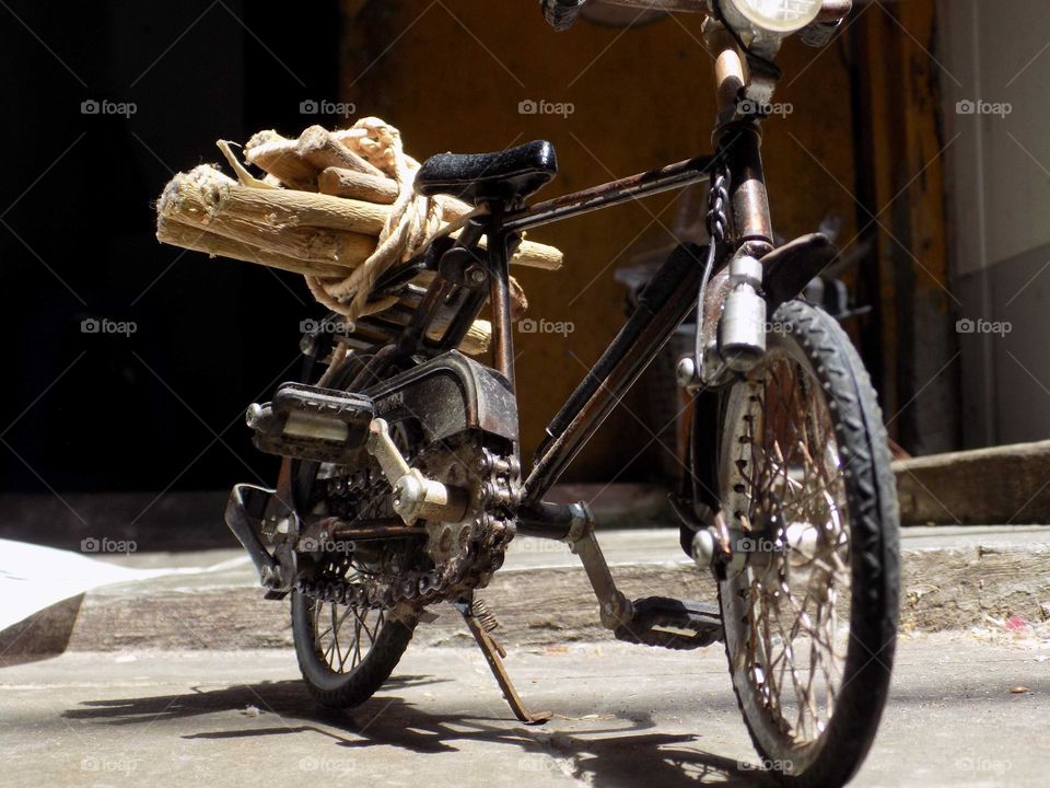 Looking for firewood