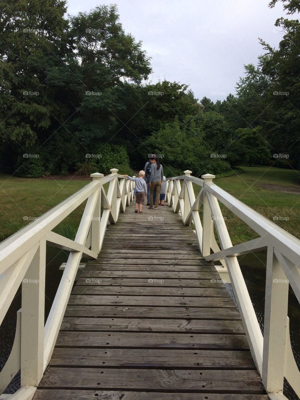 The Chinese Bridge, Painshill Park, Cobham, Suerrey, England