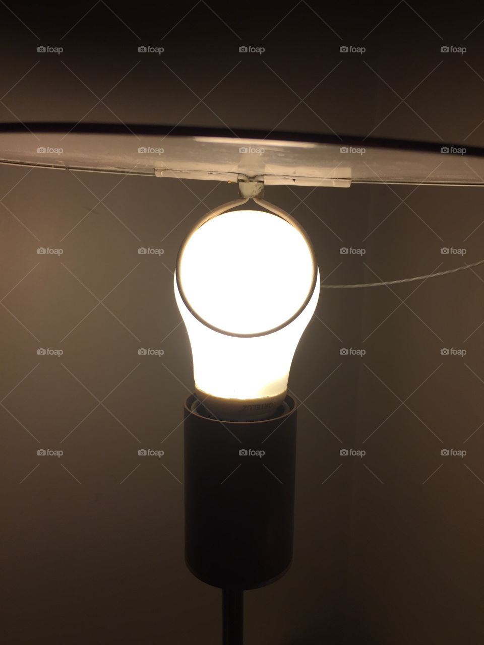 Lightbulb 