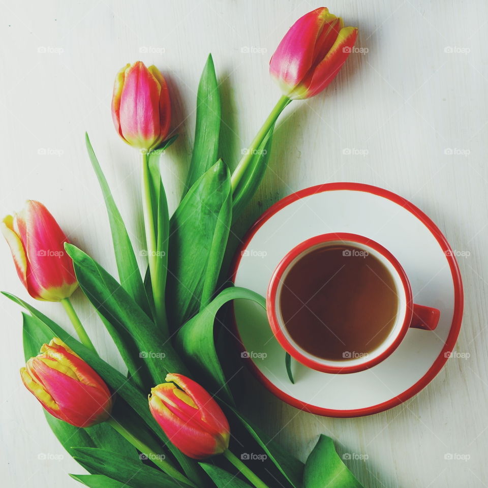 Tulips flowers and cup of tea
