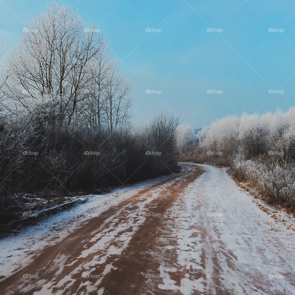 View of road during winter