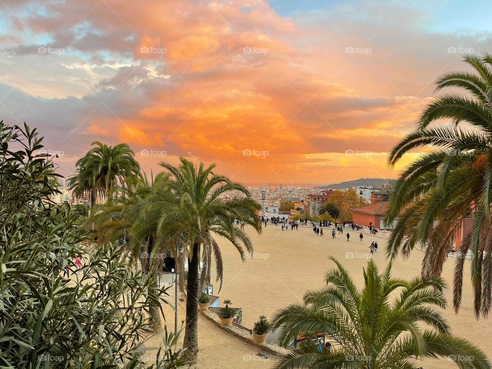 Palmers, beach and orange sky