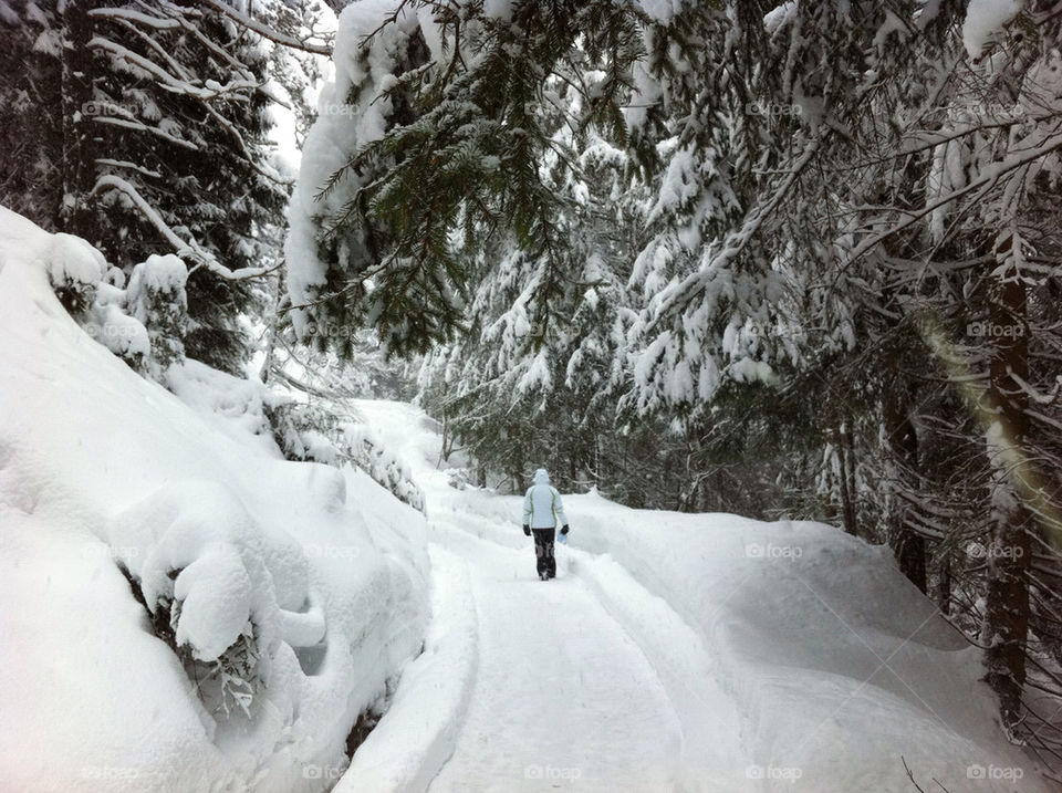 snow trees path walking by andyamc