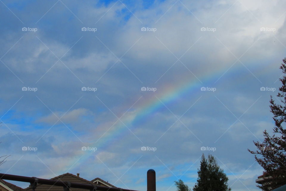 Rainbow