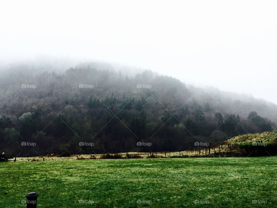 Mist . Ireland countryside 