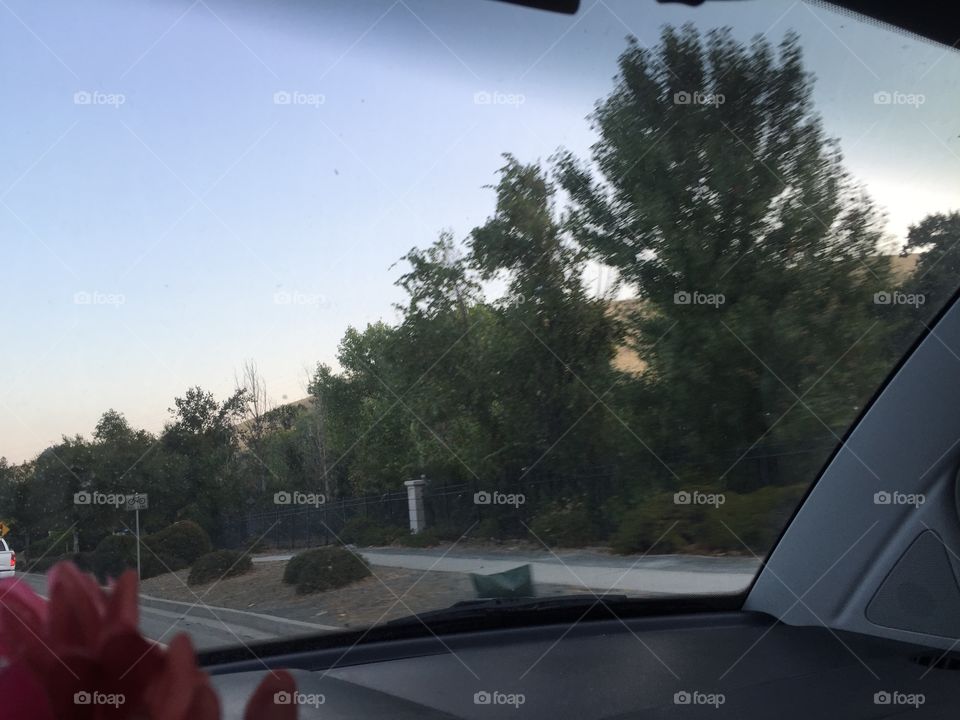 Vehicle, Car, Landscape, People, Tree
