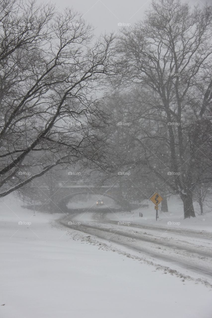 Winter snow storm 