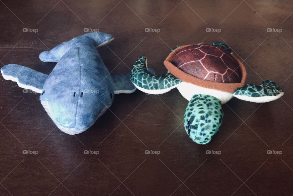 A cute  display of soft plush wildlife animals for children of any age. USA , America 