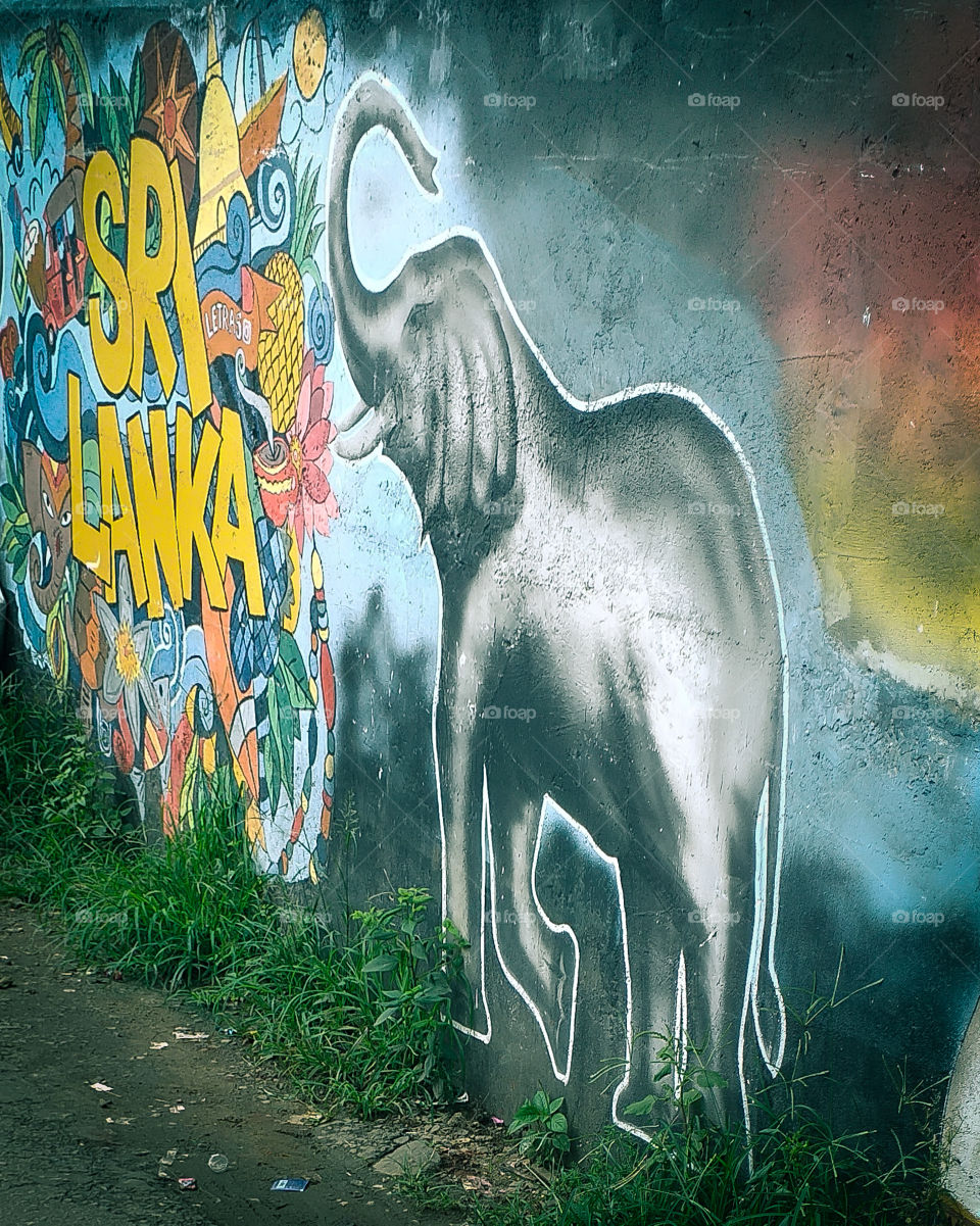 wall paint in srilanka, including elephant