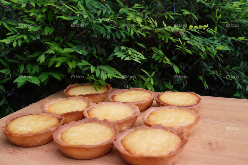Freshly Baked Egg tarts