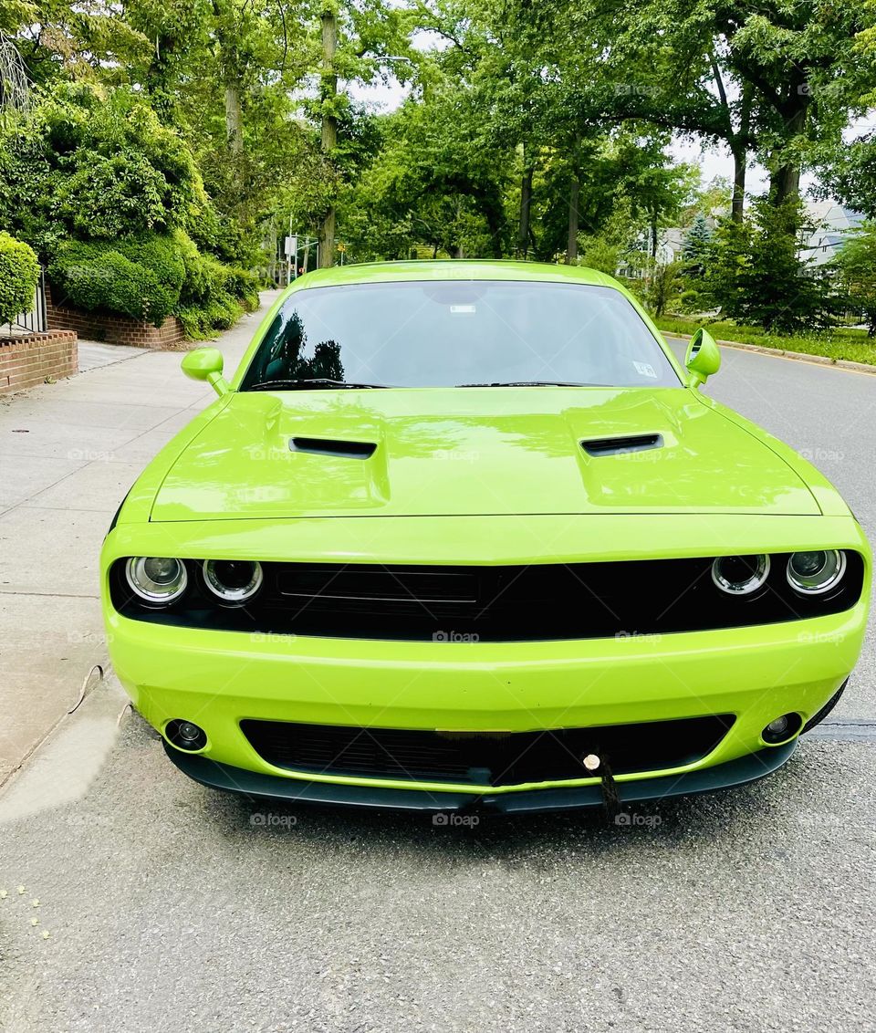 Dodge Challenger known as the world’s first muscle car site serenely on a quiet tree lined street. 