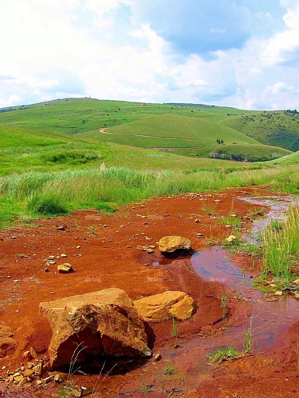 View of green hills