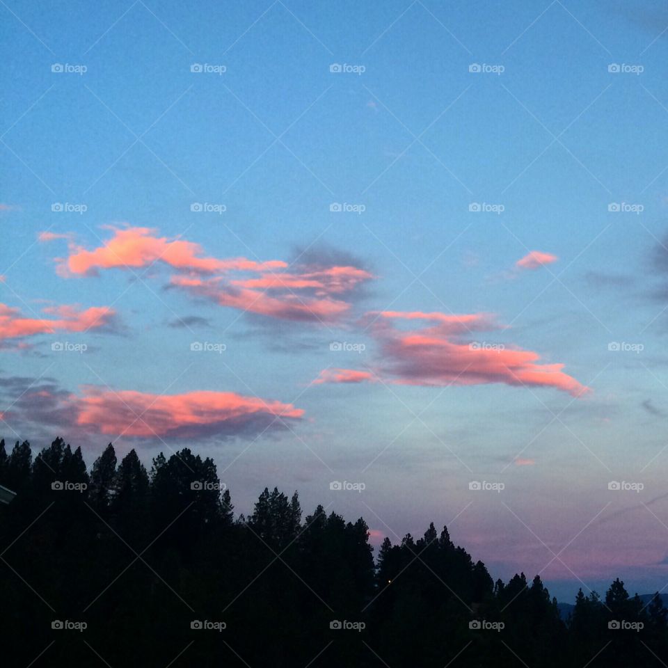 Pink Clouds