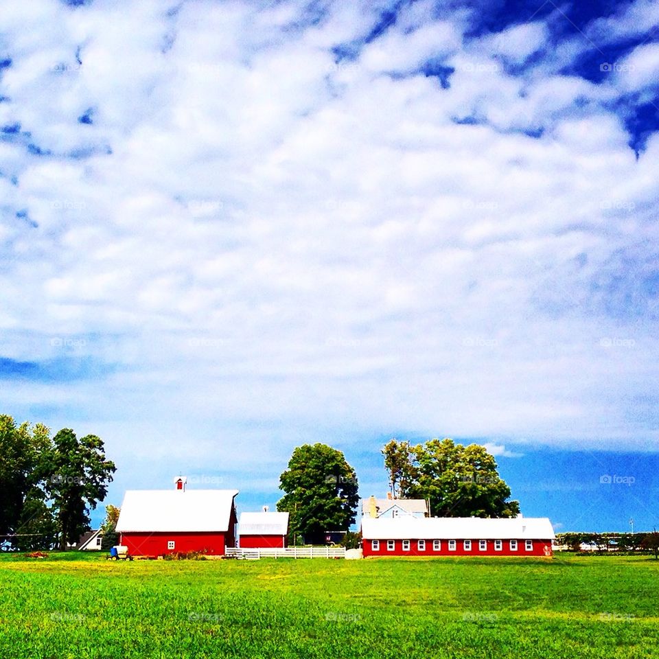 A little farming 