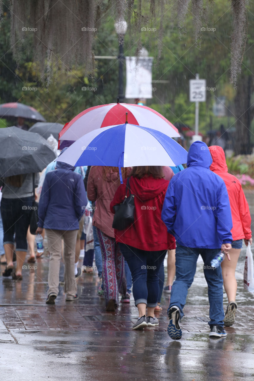 Group of people walking in the rain with couple of colorful umbrellas