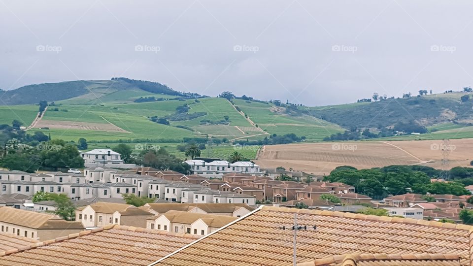 view of wine farms from our doorstep