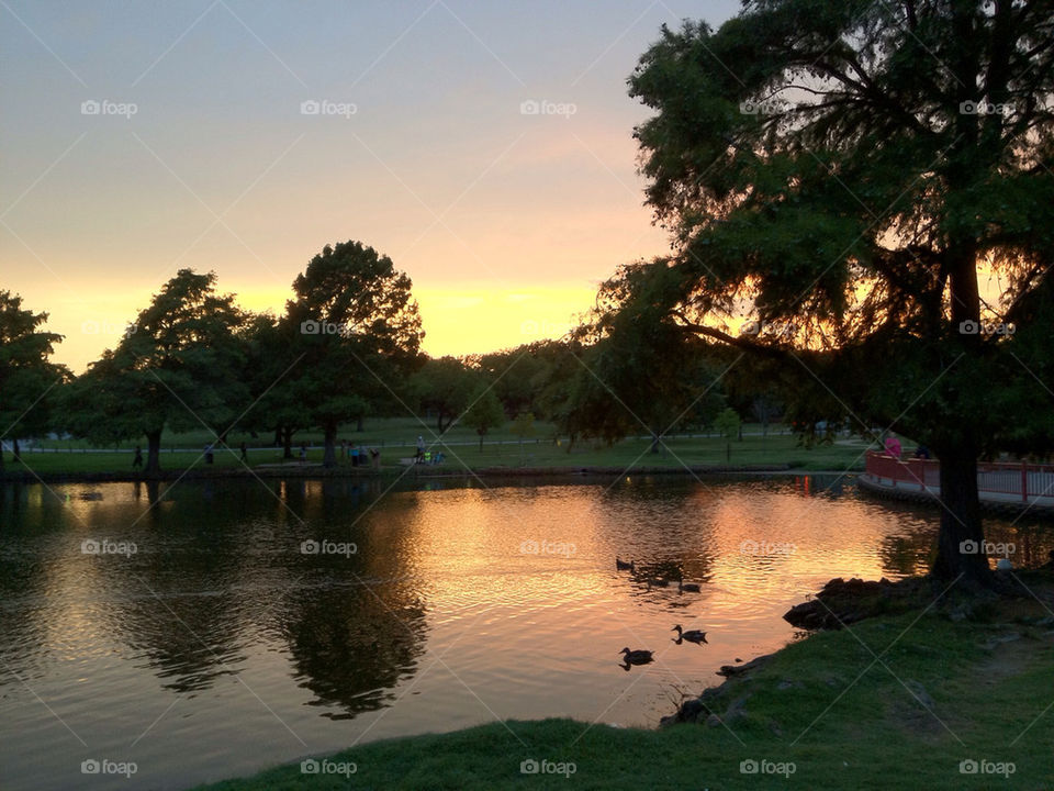sunset pond park ducks by buzzsmith