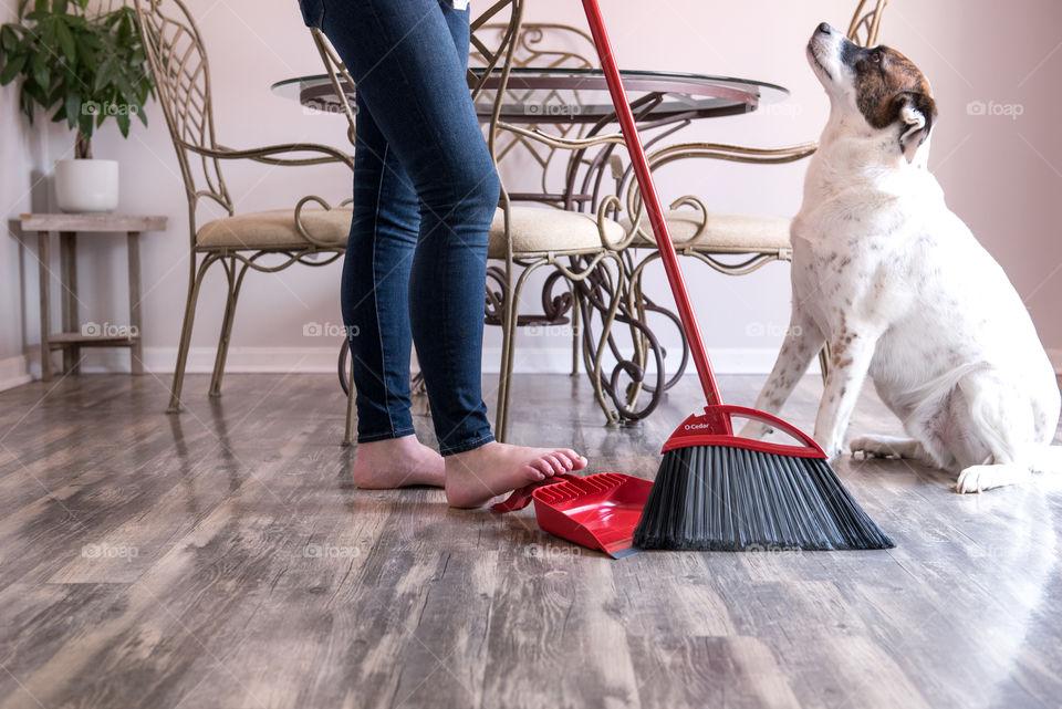 Woman using an O-Cedar broom and dustpan on hardwood floors next to pet dog