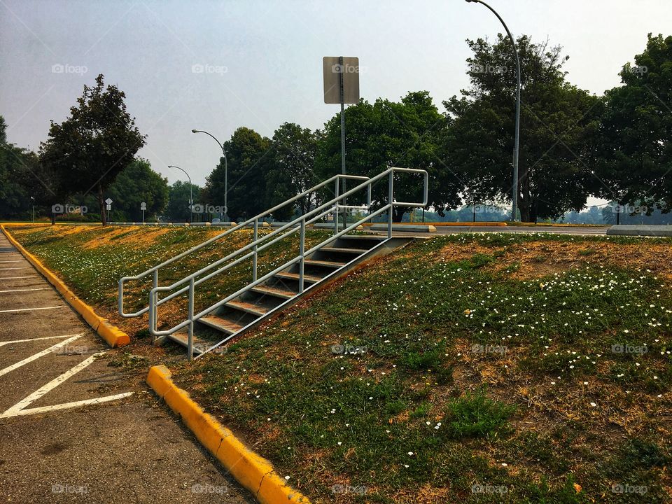 Fall day at the park 