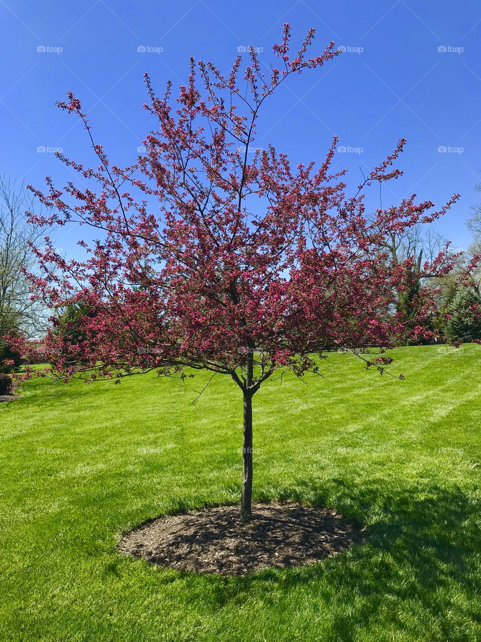 Something pretty to look at!! 