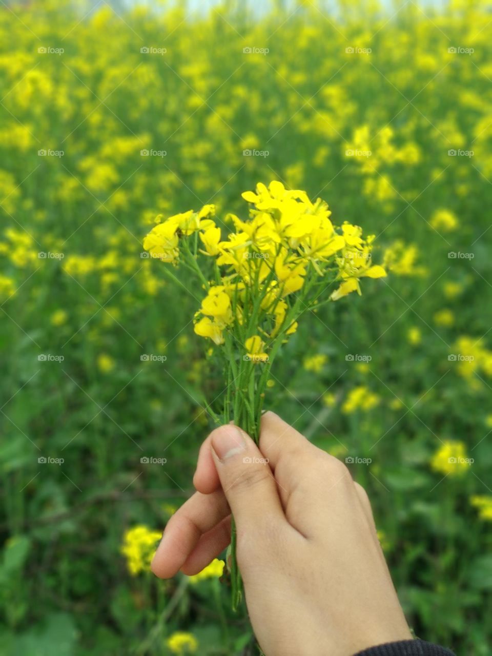 shoot by mia1 phone ...take a lot of time for the shot...
thank you for watching this hope you liked it❤️