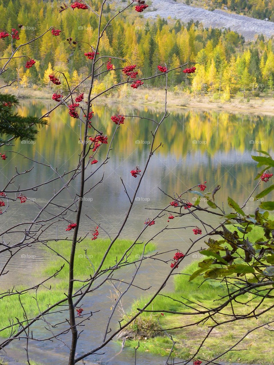 First signs of autumn