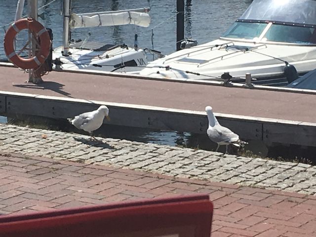 Ostsee