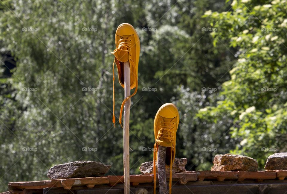 My yellow shies drying outdoor