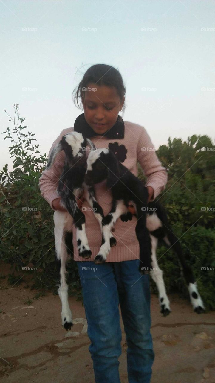 Beautiful girl holding  two nice goats