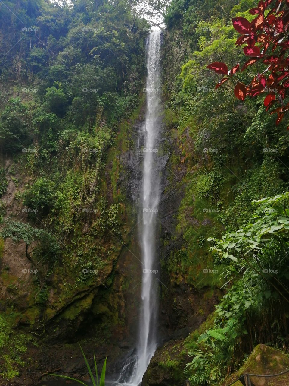 Catarata