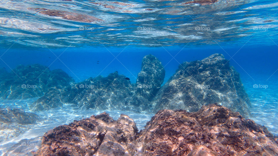 Close-up of rock in under water