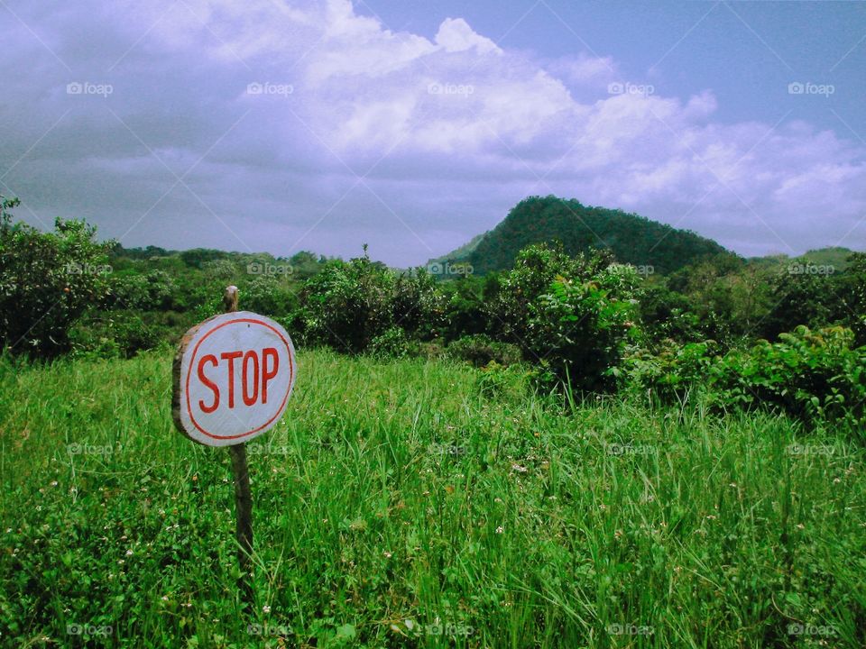 Wooden rural stop sign
