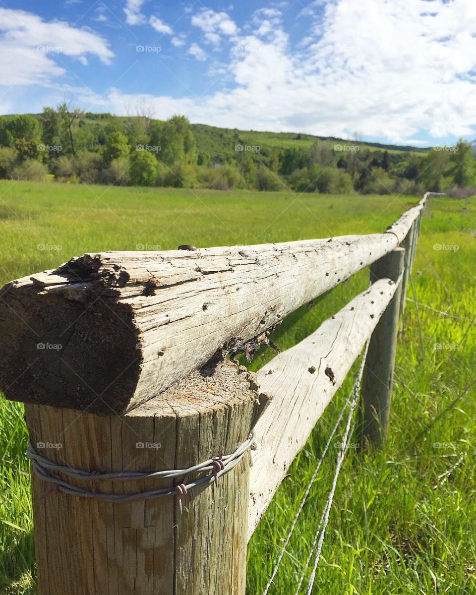 Wooden fence in the countryside 