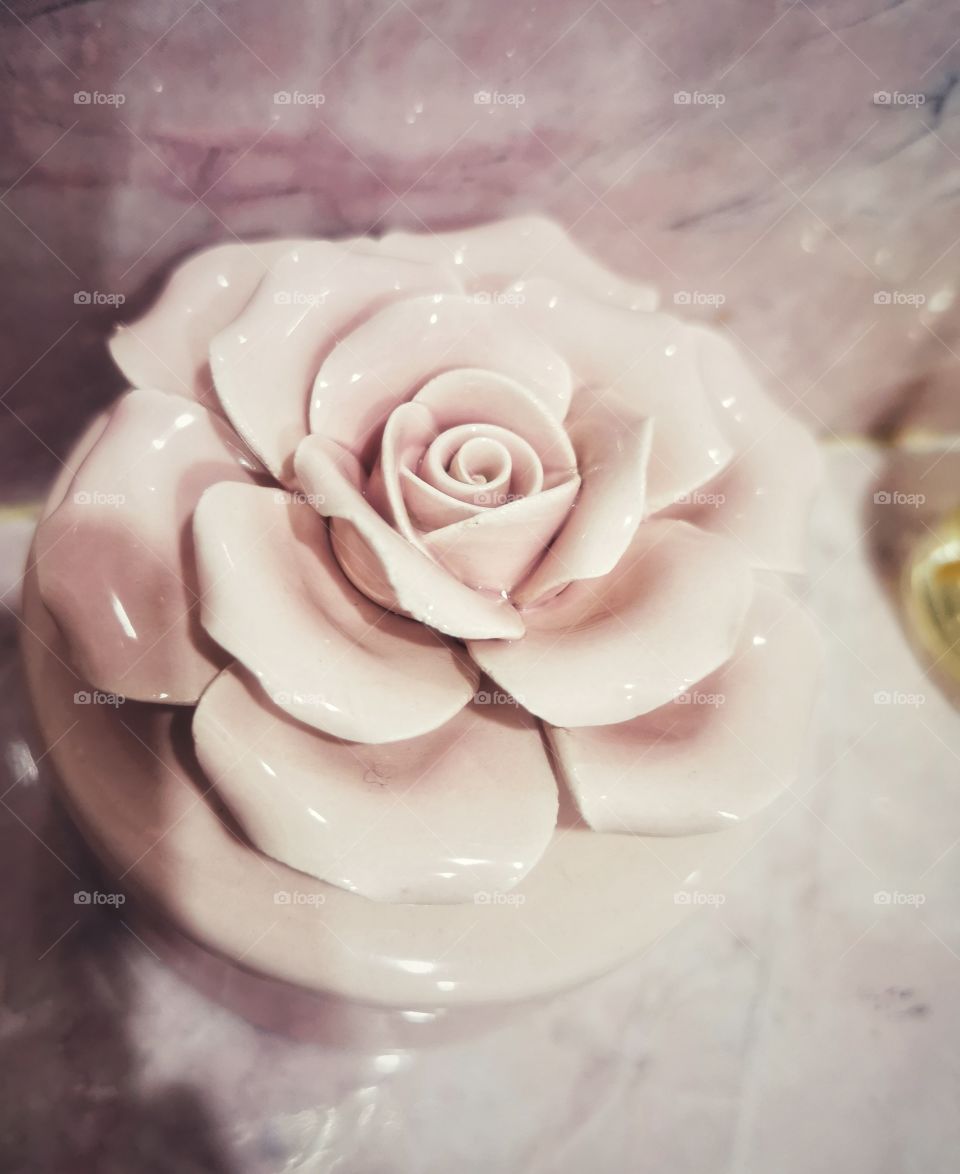 Bath rose