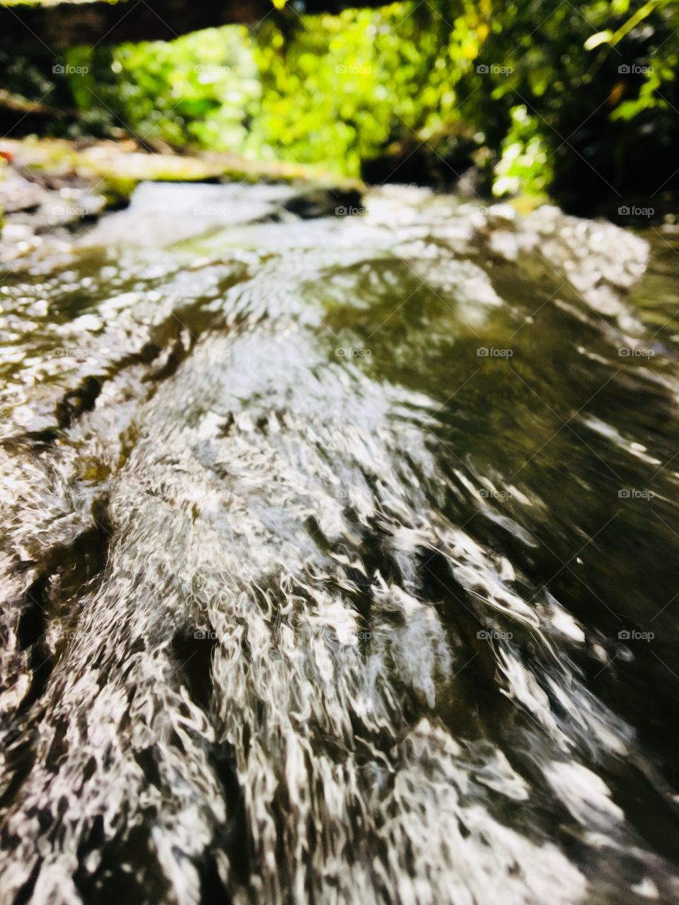 Can you stole single here ice