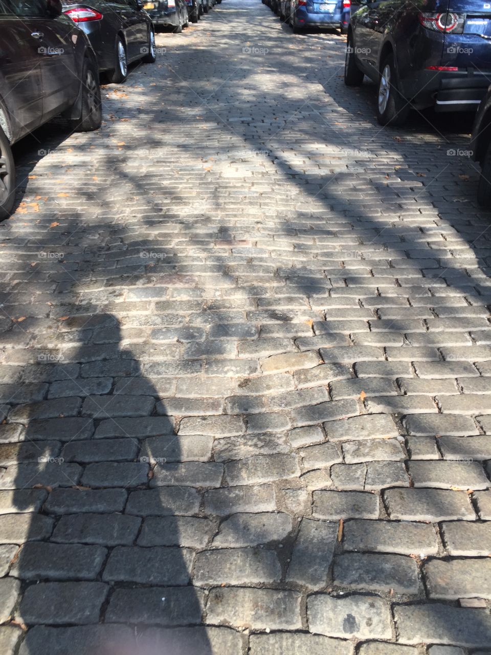 Road, Pavement, No Person, Cobblestone, Street