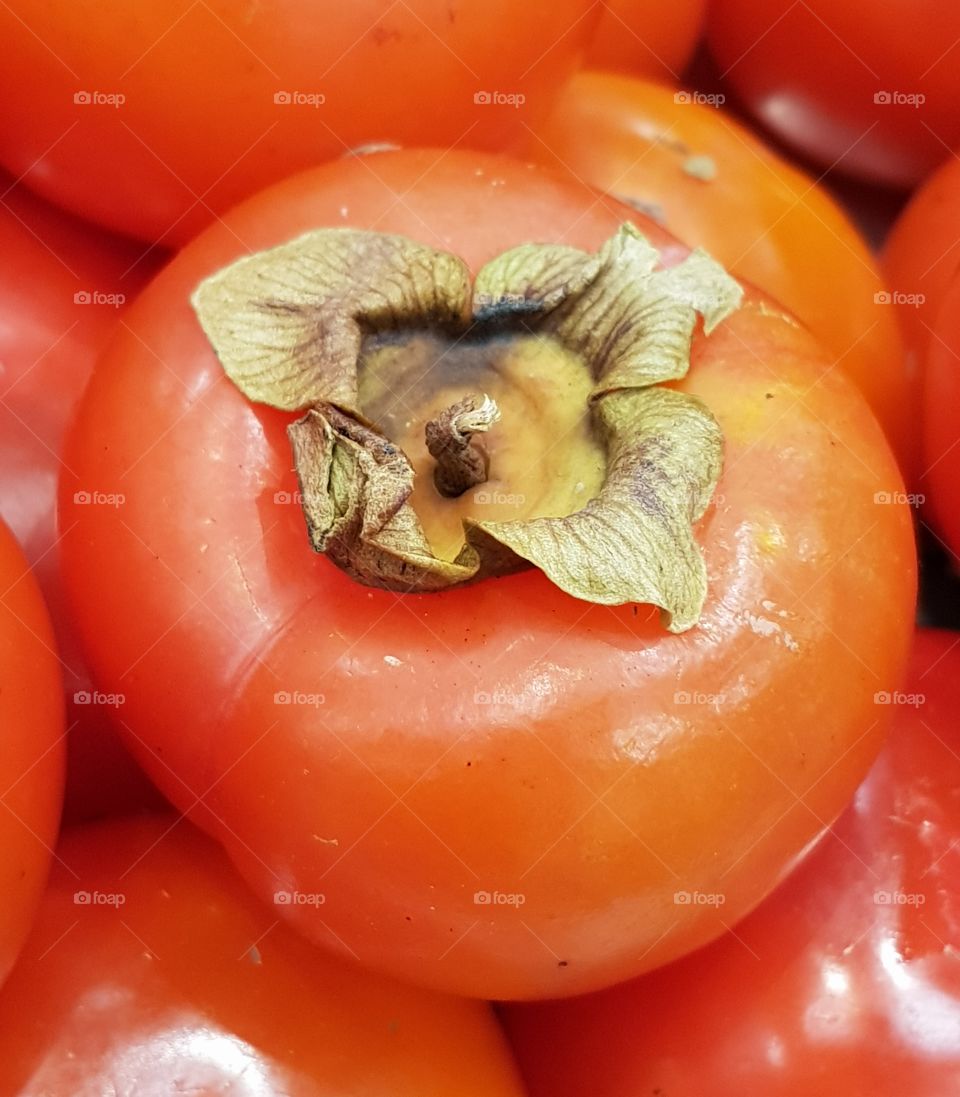 Persimmon fruit - Diospyros kaki