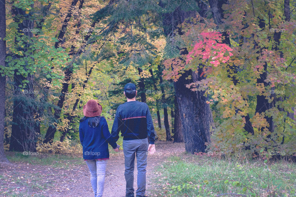 Fall, Two, Girl, Park, Couple