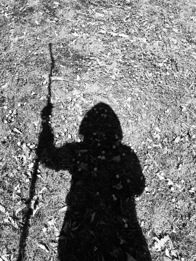 Wizardry goes on a walk. 